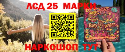 шишки Краснознаменск