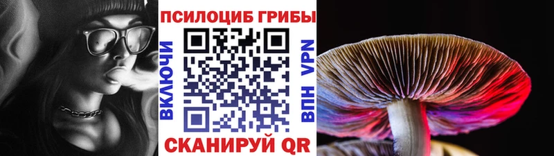 Псилоцибиновые грибы Cubensis  МЕГА рабочий сайт  Кострома  купить наркоту 